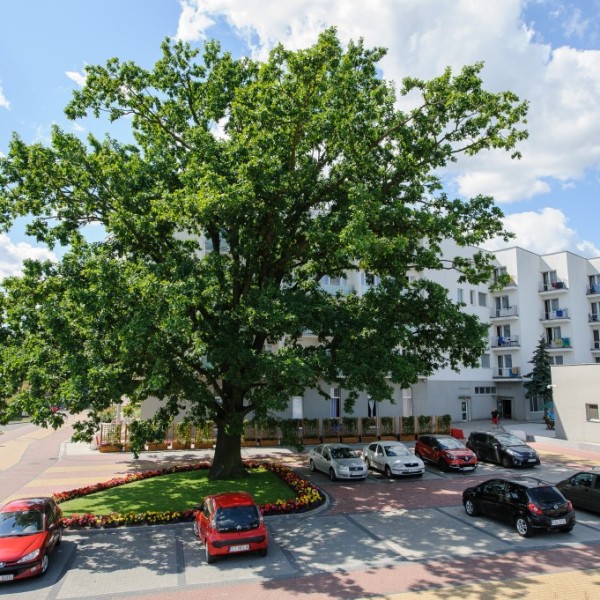 22. Wojskowy Szpital Uzdrowiskowo-Rehabilitacyjny w Ciechocinku