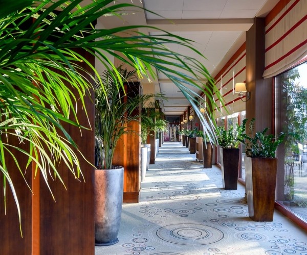 Hotel Medical SPA „Malinowy Zdrój” w Solcu-Zdroju
