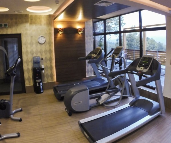 Hotel Medical SPA „Malinowy Dwór” w Świeradowie-Zdroju