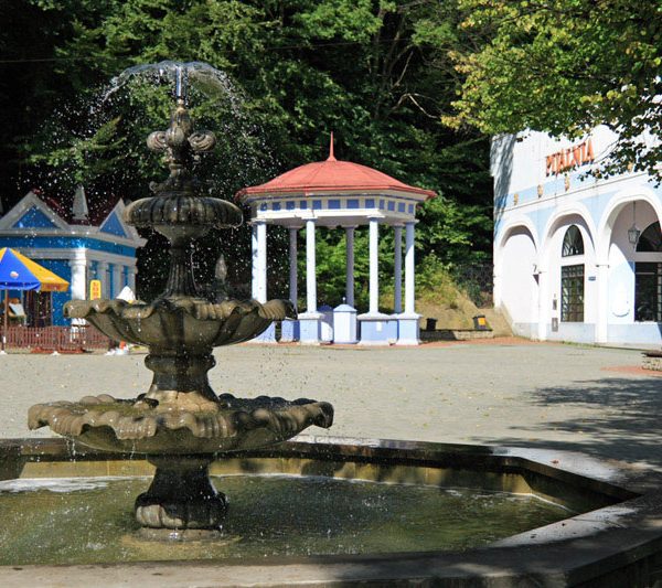 Centrum Lecznictwa Uzdrowiskowego w Iwoniczu-Zdroju
