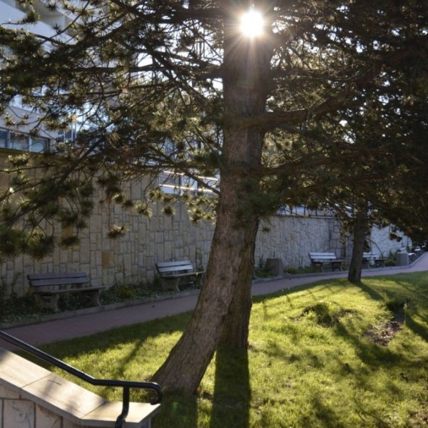 Sanatorium Uzdrowiskowe „Bristol” MSWiA w Kudowie-Zdroju