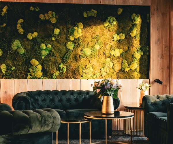 Hotel & Medi-Spa ,,Biały Kamień” w Świeradowie-Zdroju