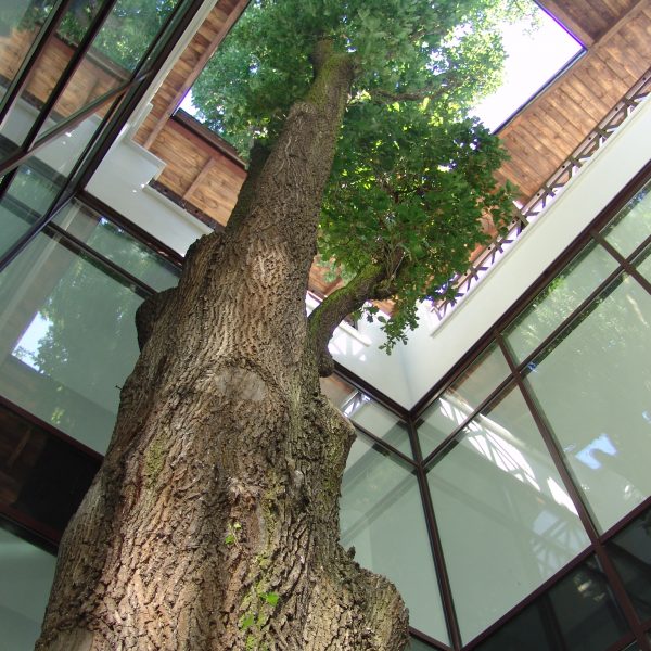 Hotel Uzdrowiskowy ,,St. George" w Ciechocinku