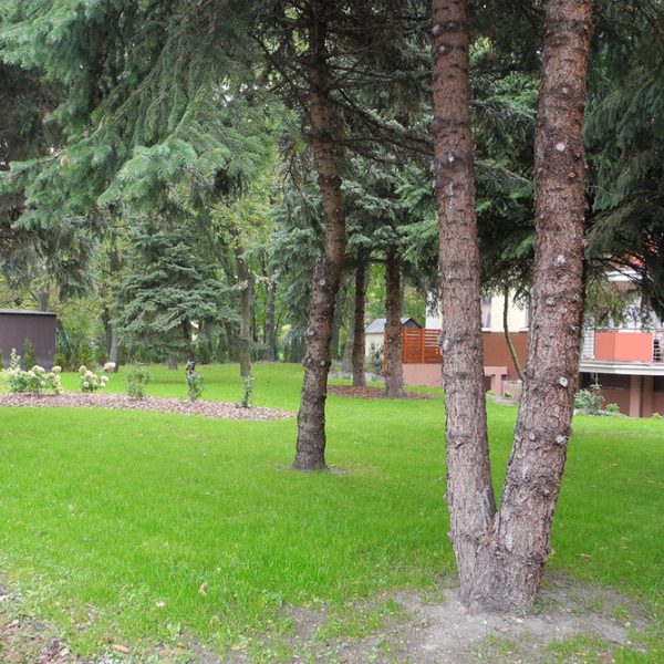 Sanatorium Uzdrowiskowe „Rafał" w Busku-Zdroju