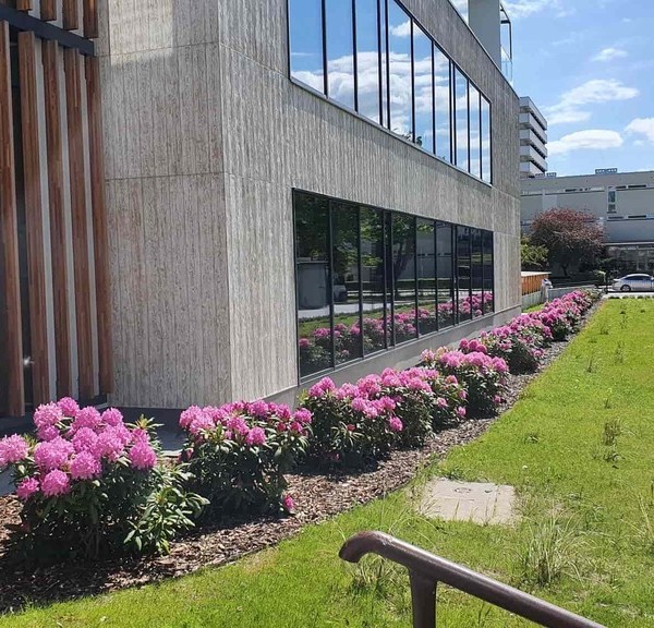Centrum Zdrowia i Relaksu Verano w Kołobrzegu