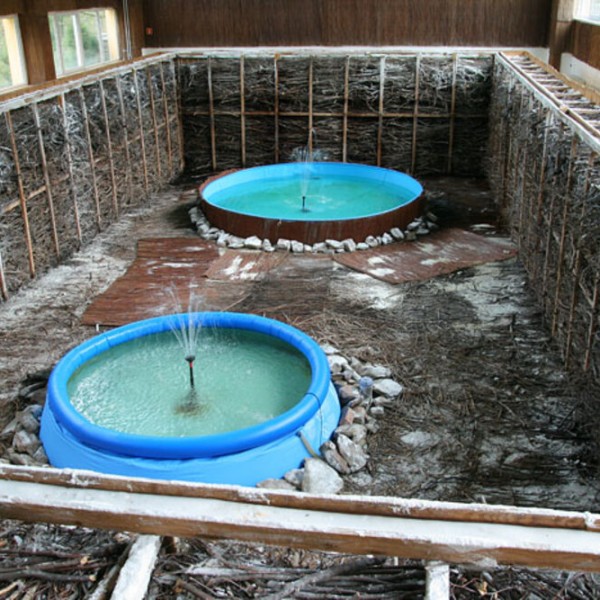 Sanatorium Uzdrowiskowe Leśnik w Sopocie