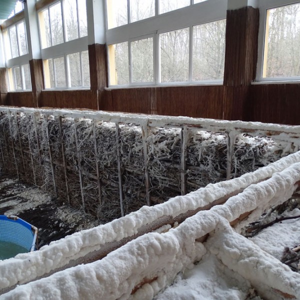 Sanatorium Uzdrowiskowe Leśnik w Sopocie