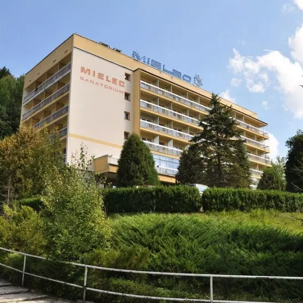 Sanatorium Uzdrowiskowe Mielec w Krynicy-Zdroju