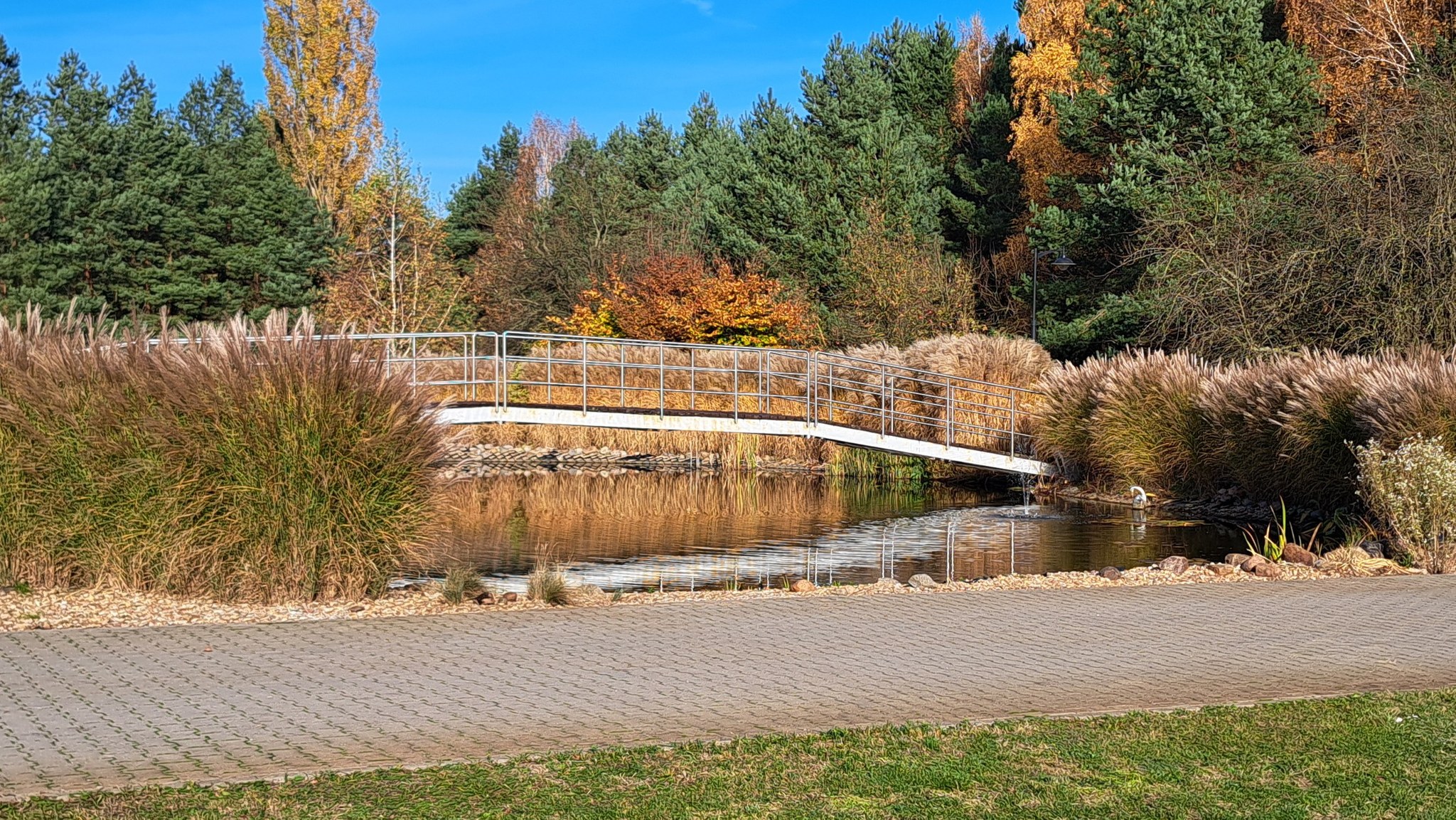 Centrum Opiekuńczo-Rehabilitacyjne NaturaMed w Piastowie