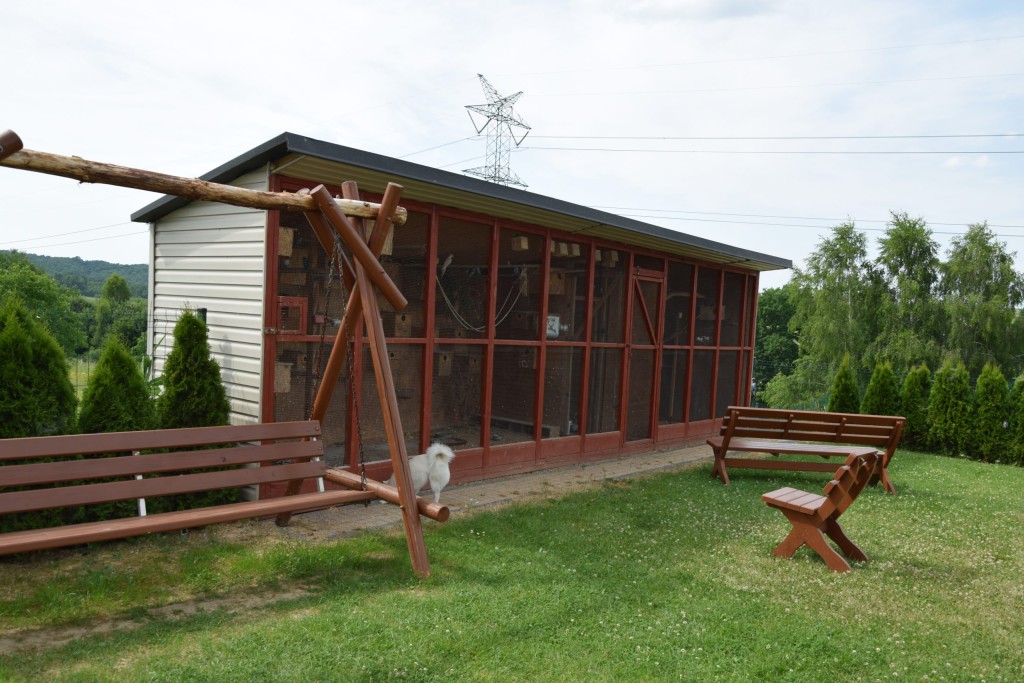 Dom Spokojnej Starości „Filiżanka" w Gnojniku