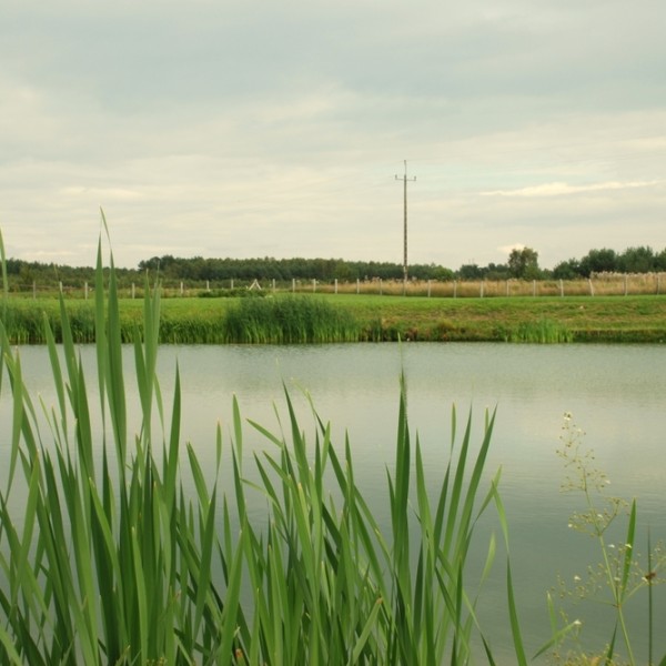 Całodobowy Dom Opieki „Husaria” w Jaszczułtach