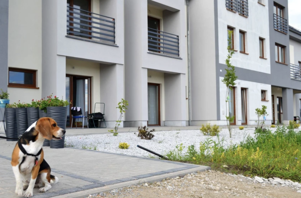 Dom Opieki „Dębowy Gaj” we wsi Jankówko