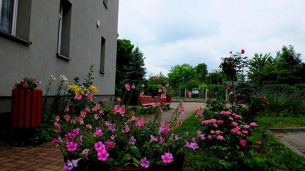 Dom Opieki „Jesienna Róża” w Sosnowcu