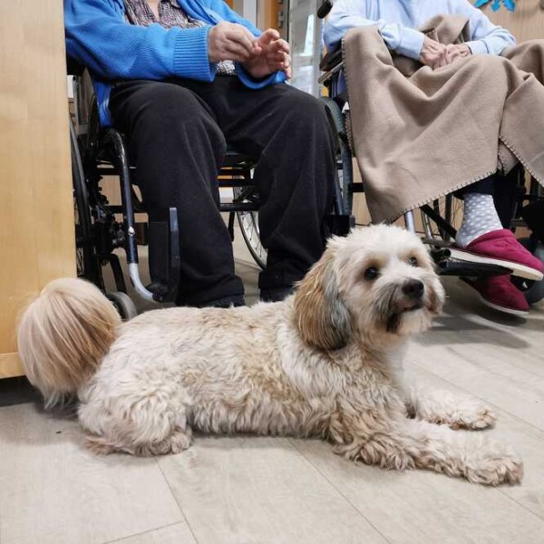 Centrum Rehabilitacyjno–Opiekuńcze „Słoneczna Przystań” w Szczecinie