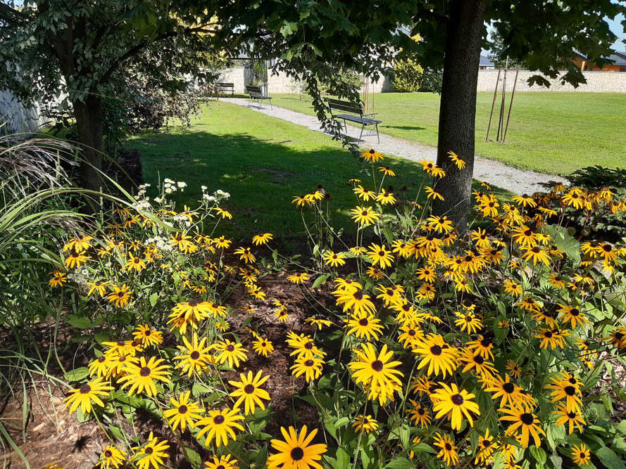 Dom dla Osób Starszych w Płoskiem