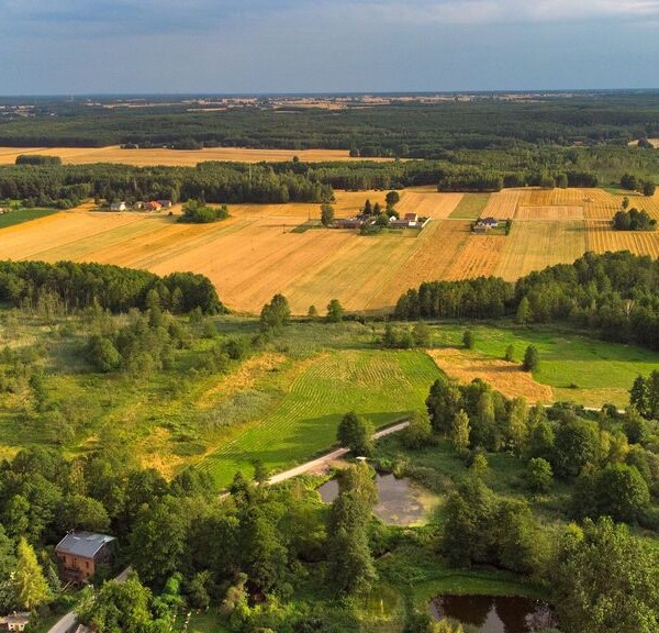 Dom Pomocy Społecznej „Złota Rybka” w Kochanowie