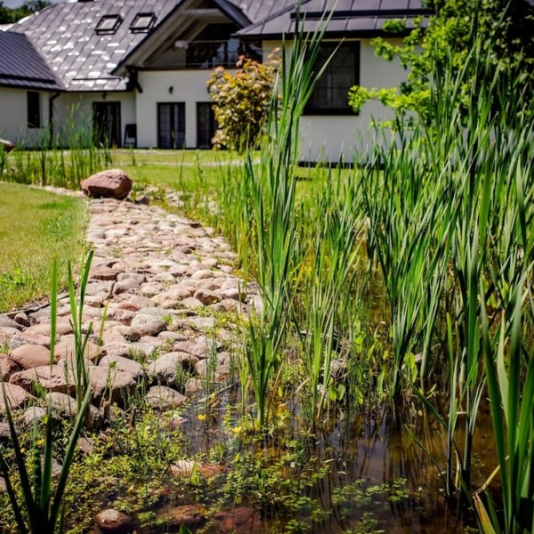 Dom Opieki i Rehabilitacji „Lipowy Dwór” w Nasutowie