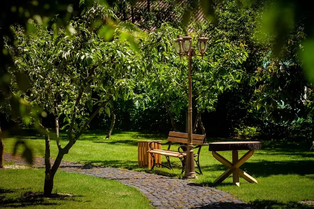 Dom Opieki i Rehabilitacji „Lipowy Dwór” w Nasutowie