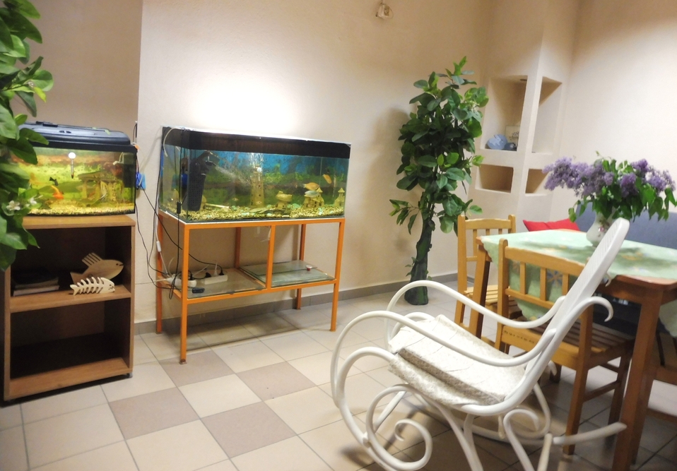 Dom Pomocy Społecznej w Chodzieży