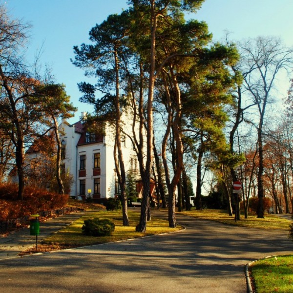 Dom Pomocy Społecznej w Zielonce