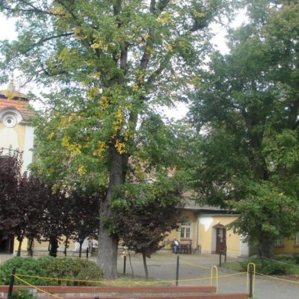 Dom Pomocy Społecznej w Jarogniewicach