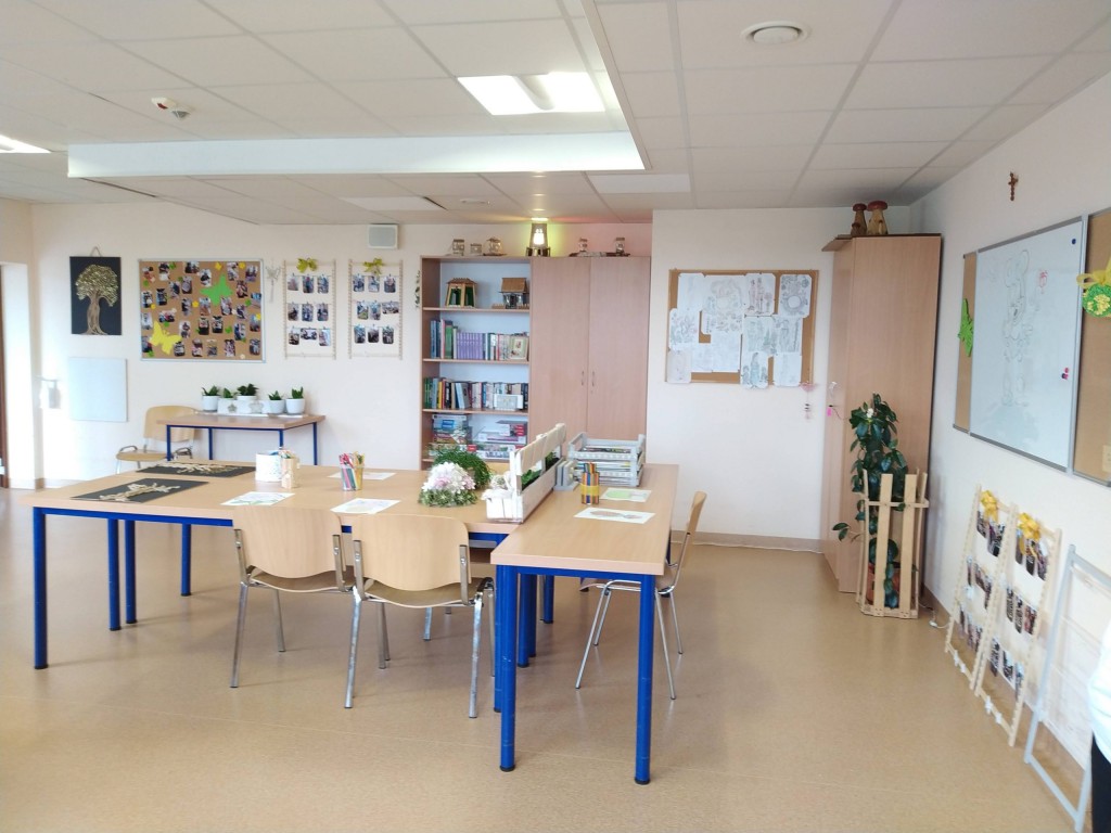 Regionalne Centrum Rehabilitacji i Pomocy Społecznej w Borzęcinie