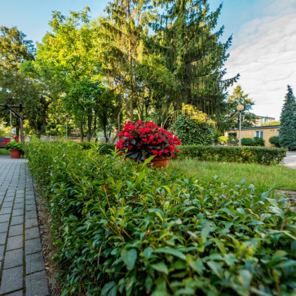 Dom Pomocy Społecznej nr 1 w Tomaszowie Mazowieckim