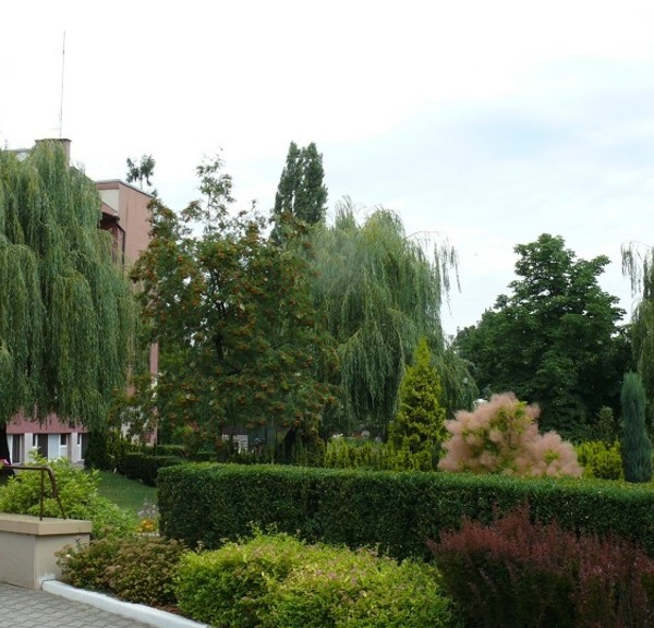 Dom Pomocy Społecznej Grabowiecka w Ostrowcu Świętokrzyskim