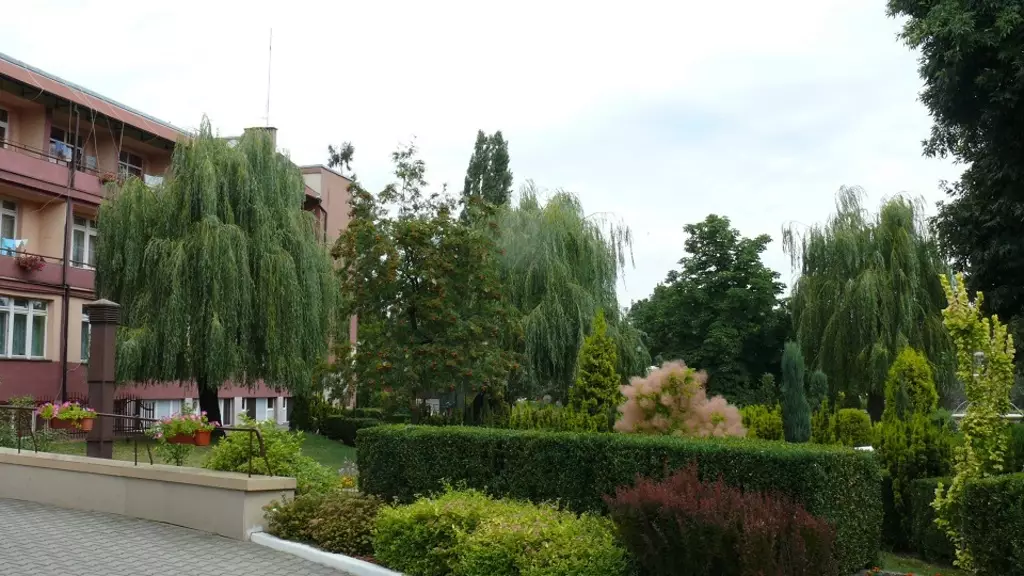 Dom Pomocy Społecznej Grabowiecka w Ostrowcu Świętokrzyskim