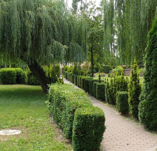 Dom Pomocy Społecznej Grabowiecka w Ostrowcu Świętokrzyskim