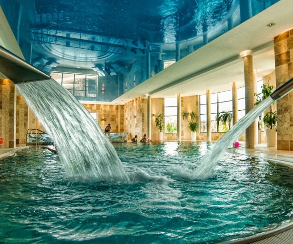 Hotel „Białowieski" Conference, Wellness & SPA w Białowieży