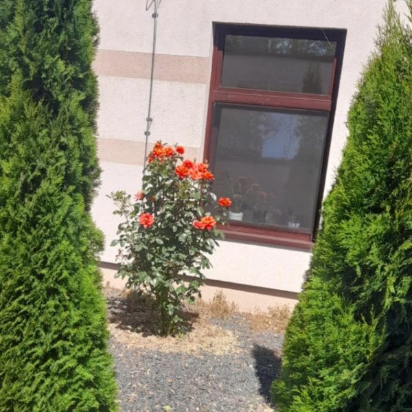 Placówka Całodobowej Opieki „Zacisze” w Piotrowicach