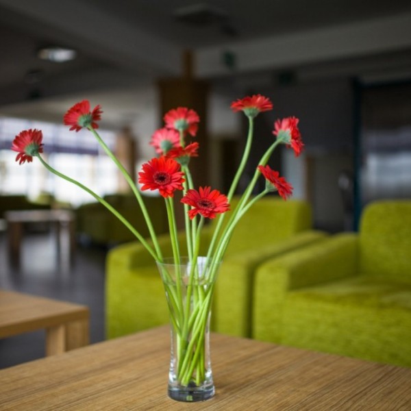 Hotel „NAT Jawor” w Sarbinowie