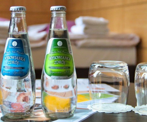 Boutique Eco Hotel „Sasanka” w Szklarskiej Porębie