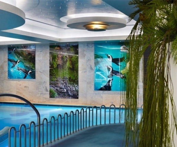 Hotel & SPA „Czarny Groń” w Rzykach
