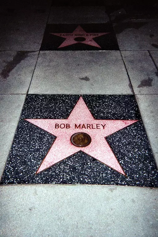 gwiazda Boba Marley'a