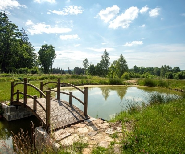 Agroturystyka ,,Dom na Leśnej Górze” w Miłoszowie