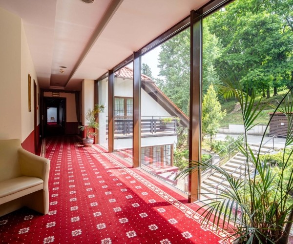 Hotel DZIKI POTOK w Karpaczu