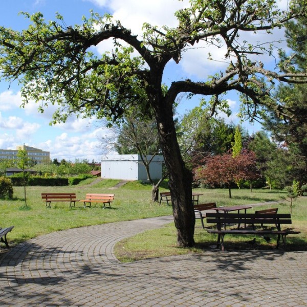 Centrum Rehabilitacyjno-Opiekuńcze w Łodzi