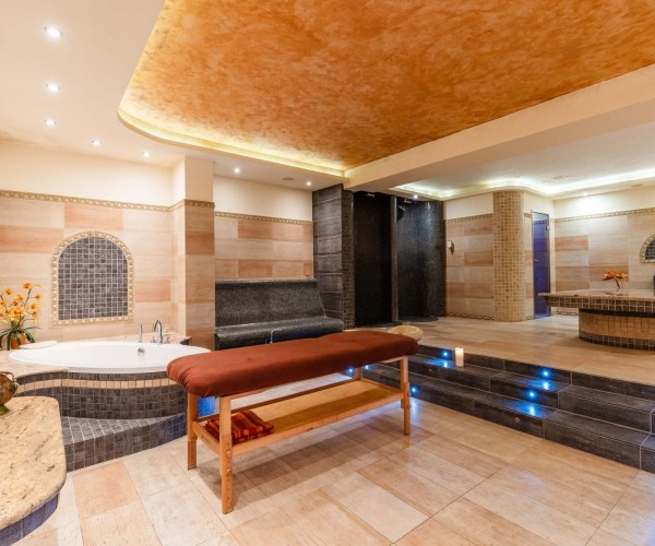 Hotel DZIKI POTOK w Karpaczu
