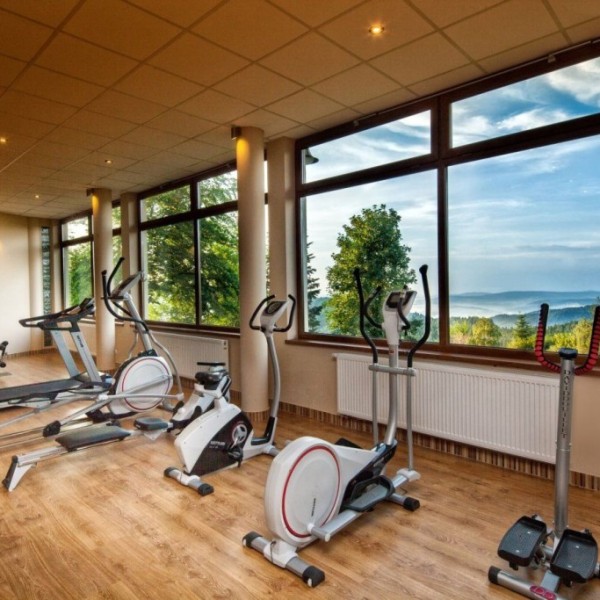 Hotel Beskidzki Raj Medical SPA w Stryszawie