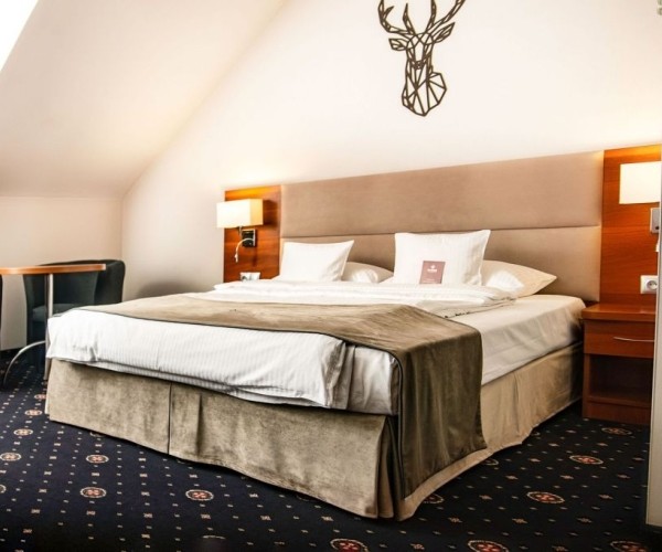 Park Hotel Łysoń w Inwałdzie