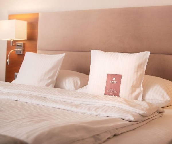 Park Hotel Łysoń w Inwałdzie