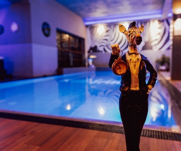 Hotel Kotarz Spa & Wellness w Brennej