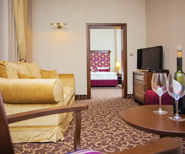 Cottonina Hotel & Mineral SPA Resort w Świeradowie-Zdroju