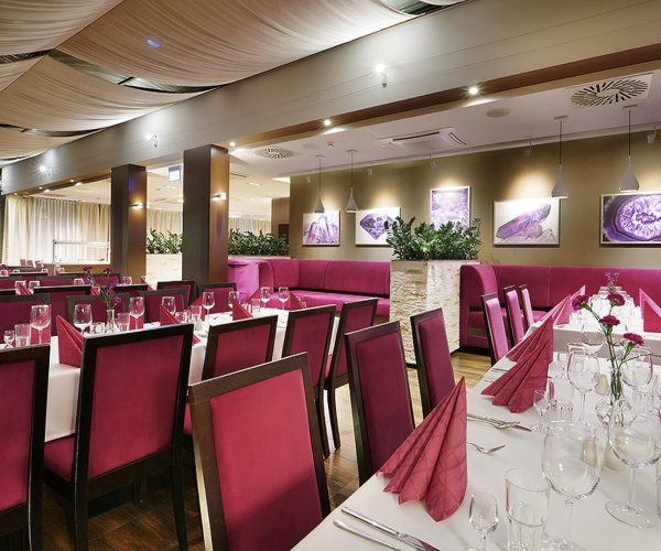 Cottonina Hotel & Mineral SPA Resort w Świeradowie-Zdroju