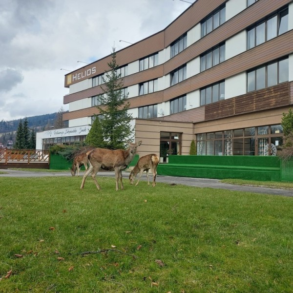 Hotel Helios w Zakopanem