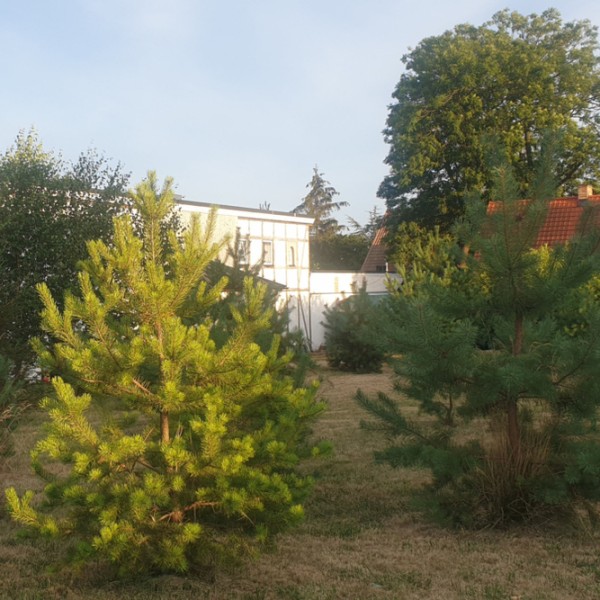 Dom Seniora Lilia w Dębogórzu