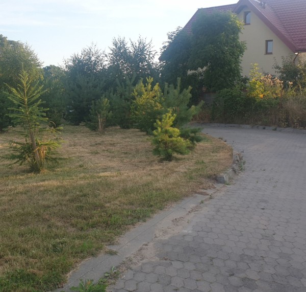 Dom Seniora Lilia w Dębogórzu
