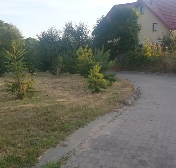 Dom Seniora Lilia w Dębogórzu